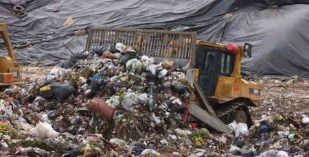 SENTENCIA T 244/98 RELLENO DOÑA JUANA